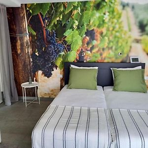 Deluxe Kamer met een King Size Bed